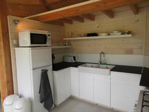 eine Küche mit einem weißen Kühlschrank und einer Mikrowelle in der Unterkunft Cabane supérieure Biron in Biron