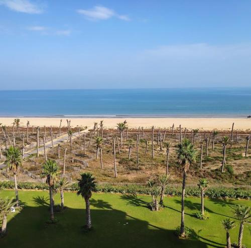 an aerial view of a beach with palm trees at Villa foundou gammarth in Tunis