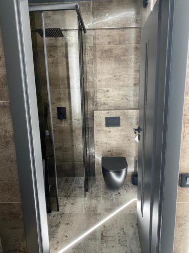 a bathroom with a toilet and a glass shower at Luna Apartments B in Suceava