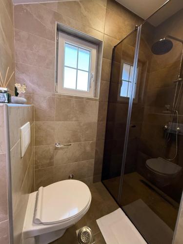 a bathroom with a toilet and a shower at Vila Gracija in Arandelovac