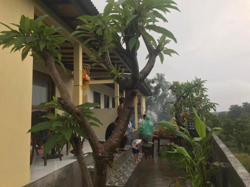 Taman di luar Dewenten Home Stay