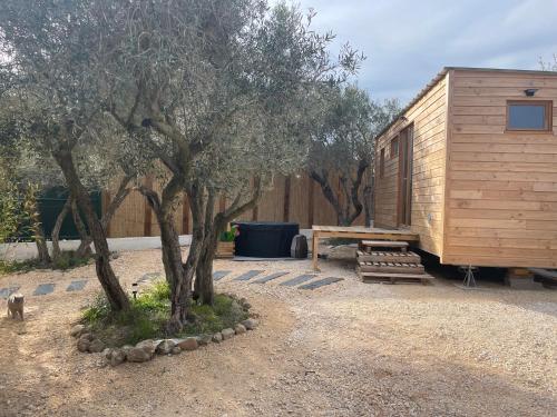 une cabane en bois avec une table de pique-nique et un arbre dans l'établissement La Tiny House des Oliviers et son jacuzzi, à Mouriès