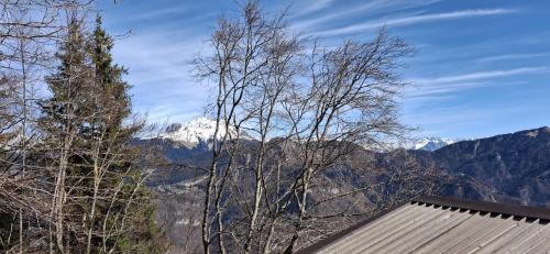 a view of a snow covered mountain from a house at Wuthering Heights in Angolo Terme