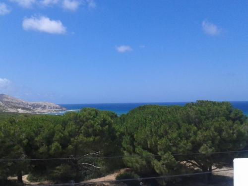 a view of the ocean from a hill with trees at maison à louer à la grotte de bizerte foret et mer in Banzart