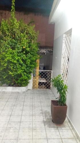 a plant in a pot sitting on a patio at Estúdio Charmoso no Vieiralves in Manaus