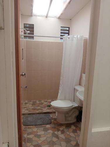 a bathroom with a toilet and a shower at La cabaña del pescador in Tócuaro