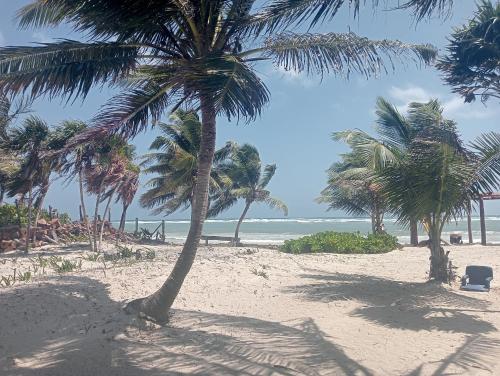 a group of palm trees on a sandy beach at La cabaña del pescador in Tócuaro
