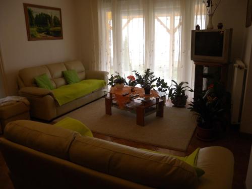 a living room with a couch and a coffee table at Three-Bedroom Apartment in Balatonlelle I in Balatonlelle