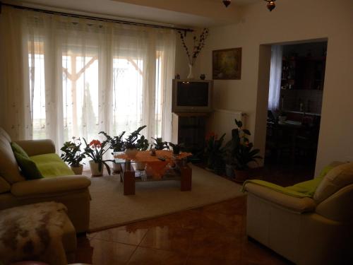 a living room with a couch and a table and a tv at Three-Bedroom Apartment in Balatonlelle I in Balatonlelle