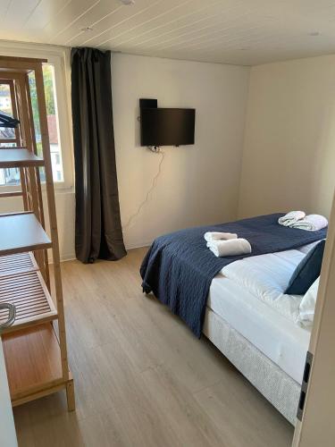 a bedroom with a bed with a tv on the wall at book2stay - Apartments Herisau in Herisau