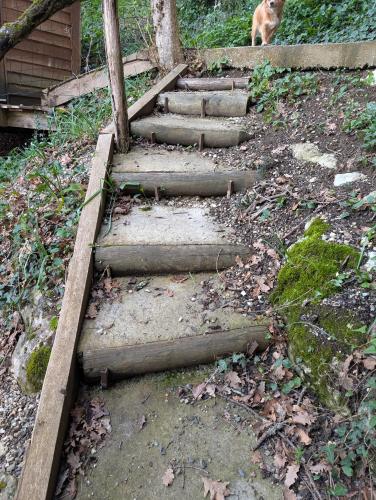 a set of stone steps with a dog walking down them at Les Cabanes de Brassac in Brassac
