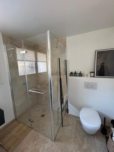 a bathroom with a shower stall and a toilet at La Chambre de l'Atelier -Larchant in Larchant