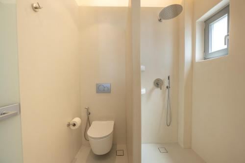 a bathroom with a toilet and a shower at Kastraki Riviera in Kastraki Naxou