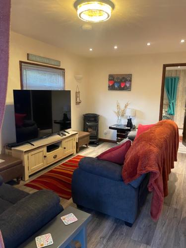 a living room with a blue couch and a flat screen tv at The Dog House in Humberston