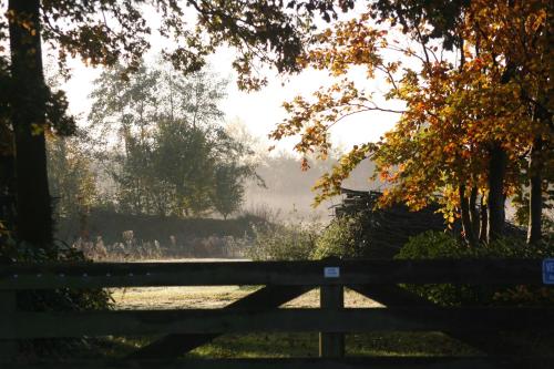 a wooden fence in the middle of a field at Vakantiehuis Weideblik in Biezenmortel