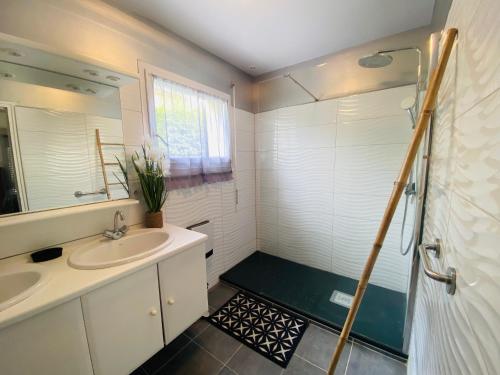 une salle de bain avec lavabo et douche dans l'établissement Ty Névez, à Sibiril