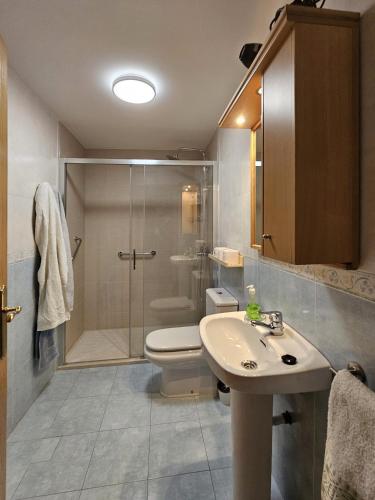 a bathroom with a shower and a sink and a toilet at Apartamento casa Chilin in Sarria