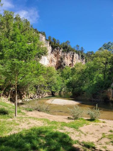 a river with trees and a mountain in the background at Appartement Lueur Locale in Correns