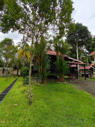 a small tree in the grass in front of a building at Hotel O Rumah Rehat Awana in Kampong Nanas