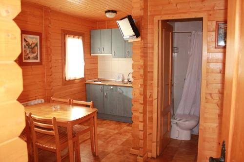 A kitchen or kitchenette at Camping Valle de Tena