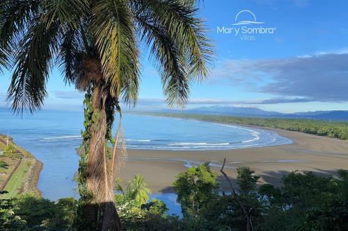 a view of a beach with a palm tree at Mar y Sombra Villas in Quepos