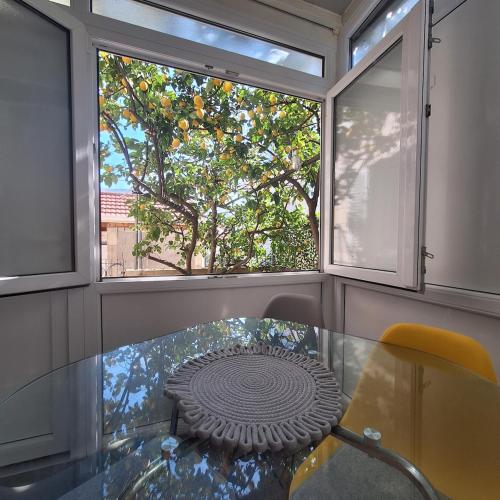 Lemon Garden Apartment