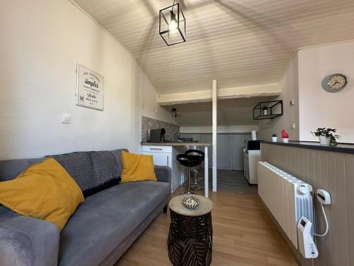 un salon avec un canapé et une cuisine dans l'établissement Le Nid de Nancy - Studio - 2 personnes - Proche Gare, à Nancy