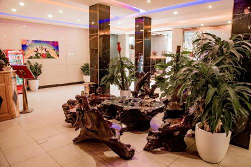 Fotografie z fotogalerie ubytování OYO 1143 Thu Giang Hotel v Hanoji