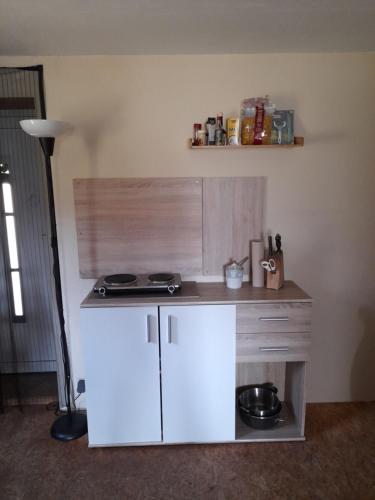 a small kitchen with a white counter and a lamp at Mühlenbach Kotten- Bauernhofurlaub mit Hund und Pferd in Bippen