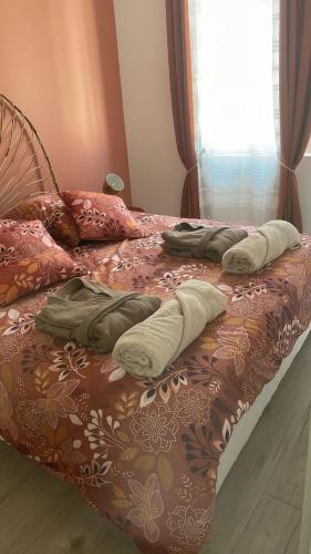 - 2 lits avec des couvertures et des oreillers dans l'établissement Maison Bien-être Balnéo et Sauna Cosy et Chaleureux, à Châlons-en-Champagne