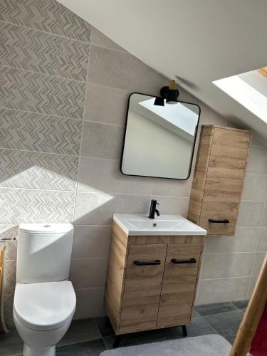 une salle de bain avec toilettes et miroir dans l'établissement Villa d'Aneta, à Le Poët