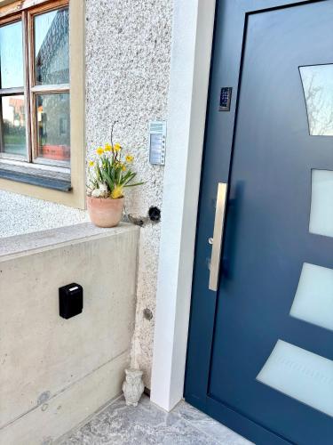 a blue door with a potted plant on a ledge at Gästehaus Seeblick Penthousewohnung in Seekirchen am Wallersee