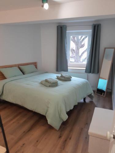 une chambre avec un grand lit et une fenêtre dans l'établissement Charmant appartement au cœur de Montrond, à Montrond-les-Bains