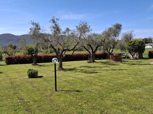 a pole in the middle of a field with trees at A Casa di Lidia in Sarzana