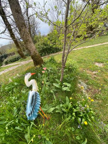 a blue and white bird in a garden at Le Dolmen, charme sport et détente in Saint-Chels