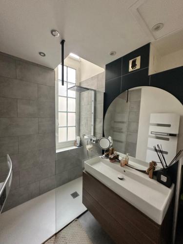 une salle de bain avec un lavabo et un miroir dans l'établissement Le plumereau ensoleillé, à Tours