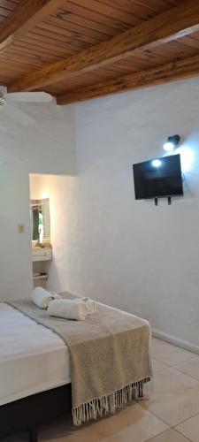 Μια τηλεόραση ή/και κέντρο ψυχαγωγίας στο Ex Hostal del Parque