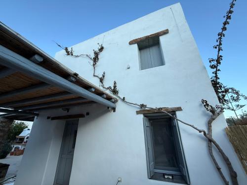 a white building with two windows on the side of it at Nefeli in Livadion
