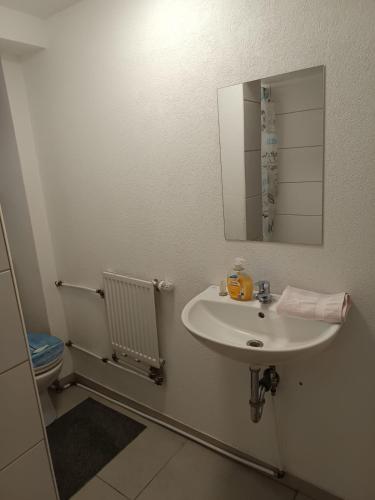 Koupelna v ubytování Andrei Ferienwohnung