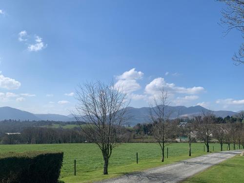 a field with trees and a dirt road at Church View in Killarney