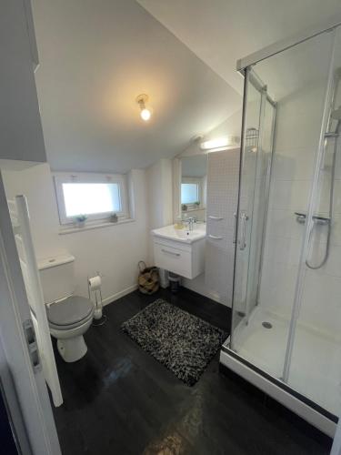 a bathroom with a toilet and a sink and a shower at Escapade poitevine - Maison climatisée avec 3 Ch - 4 min Futuroscope et Aquascope in Chasseneuil-du-Poitou