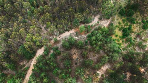 an overhead view of a forest with trees at Domosup3rlopez - Glamping Petfriendly con Jacuzzi en Boyacá in Pesca