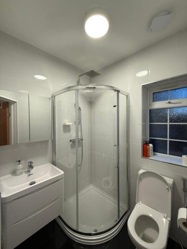 Un baño con ducha, inodoro y lavabo. en Beautiful 5 bedroom house in central london, en Londres