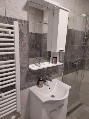 Ένα μπάνιο στο Apartman Stublina II