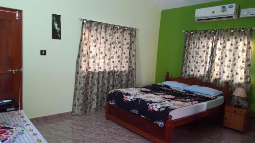 卡維洛辛的住宿－河流城堡度假屋，一间卧室设有一张床和绿色的墙壁
