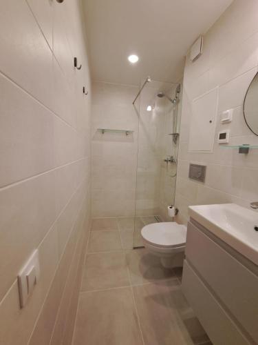a bathroom with a toilet and a shower and a sink at Comfortable Apartment Gerbera Tallinn in Tallinn