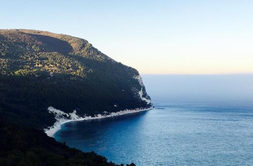 an island in the ocean with a beach at Luconi Affittacamere in Iesi