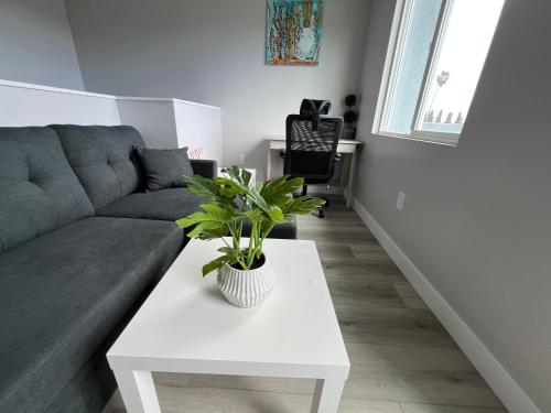 a living room with a couch and a table with a plant at Vacation home in Westminster