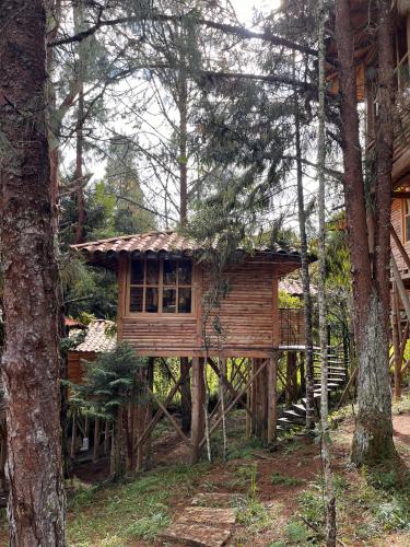 a tree house in the middle of the woods at Eco Hotel Nigüíto in Medellín