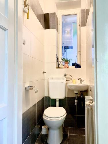 Apartment Teo